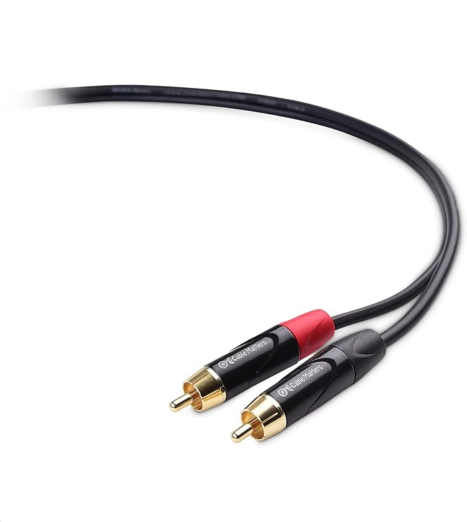 Cable Matters Dual RCA to XLR Unbalanced Interconnect Cable - 10ft, XLR to RCA Cable, Male to Male