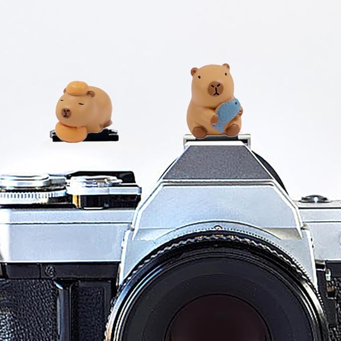 Camera Hot Shoe Cover, Cute Hot Shoe Cap, Hot Shoe Protector Compatible with Sony Fujifilm Fuji Canon Nikon Pentax Leical Panasonic (2pcs Capybara)