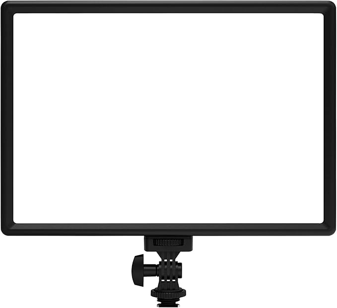 RALENO LED Video Light, White Camera Light for Pictures Video Recording with 4000mAh Battery Support Type-C USB Power Supply, CRI>95 2500K-6500K Photo Lights for Outdoor Photography Live Streaming