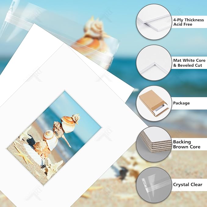 Golden State Art, Acid Free, Pack of 5, 8x10 White Picture Mats Mattes with White Core Bevel Cut for 4x6 Photo + Backing + Bags