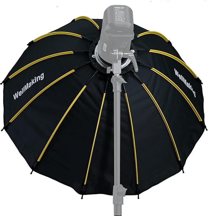 WELLMAKING 25.6inch/65cm Parabolic 16K Softbox Quick Set up and Folding, with Diffusers/Honeycomb Grid/Bag,Compatible with Bowens Mount Light for Portrait or Product Photography Studio Flash Monolight