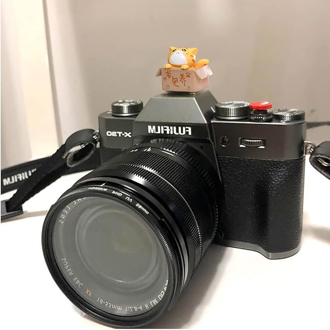 Camera Hot Shoe Cover, Cartoon Hot Shoe Cap, Hot Shoe Protector Compatible with Sony Fujifilm Fuji Canon Nikon Pentax Leical Panasonic (2pcs Cat)