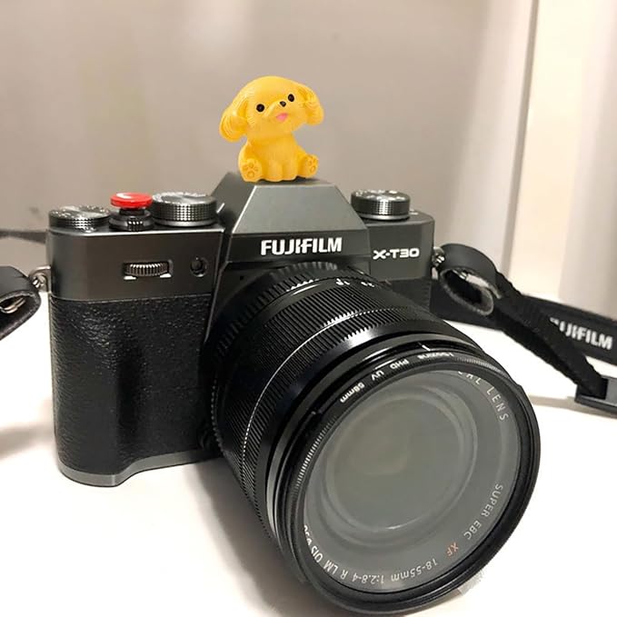 Camera Hot Shoe Cover, Cute Cap and Protector Compatible With Sony Fujifilm Fuji Canon Nikon Pentax Leical Panasonic (2pcs Golden Retriever + Tactic)