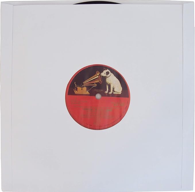10" Premium Polylined Heavyweight Record Inner Sleeves - Archival Quality, Heavyweight Paper & Plastic #10IA (250)