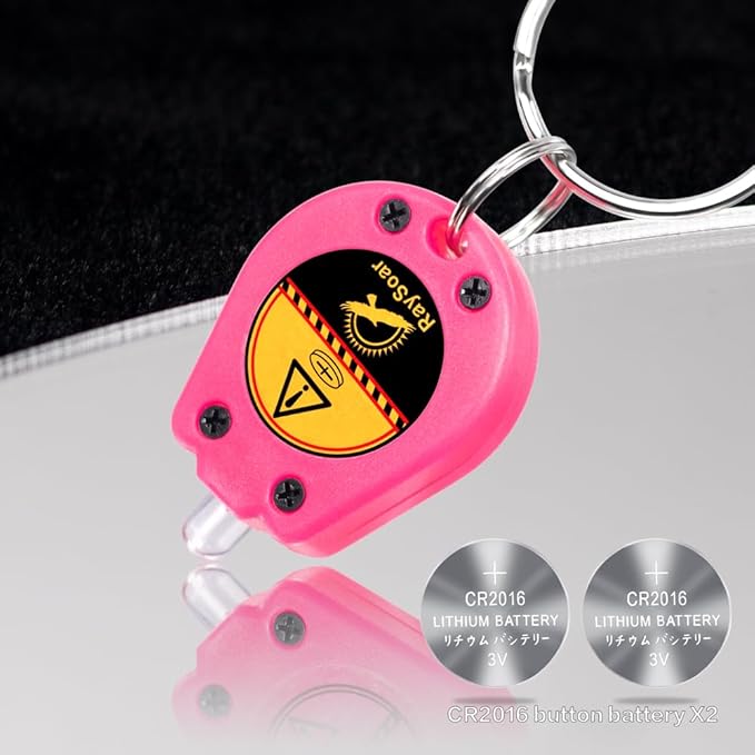 10 Pack Ultra Bright Mini LED Keychain Flashlight, Small Key Ring Flashlight, Portable LED Keychain Light for Outdoor Activities Emergency Light - HotPink Shell