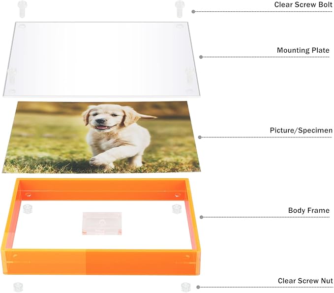 Gelite Acrylic 8X10 Picture Frame to Display 8x10 6x8 5x7 Pictures Mat-free Neon Floating Photo Frame for Wall and Tabletop, Neon Orange