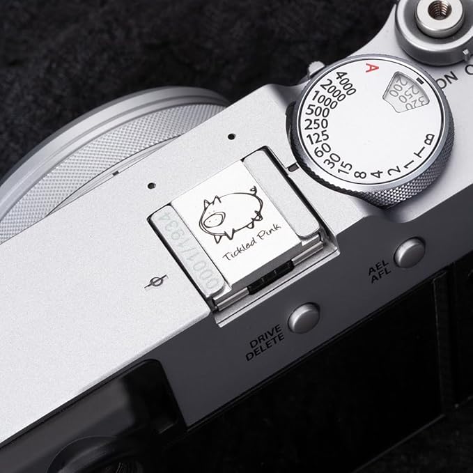 Camera Metal Hot Shoe Cover Protector Cap Cute Compatible for Fujifilm X100VI X100V X-M5 X-E5 X-T4 X-T3 for Leica Q Q3 (Piglet)