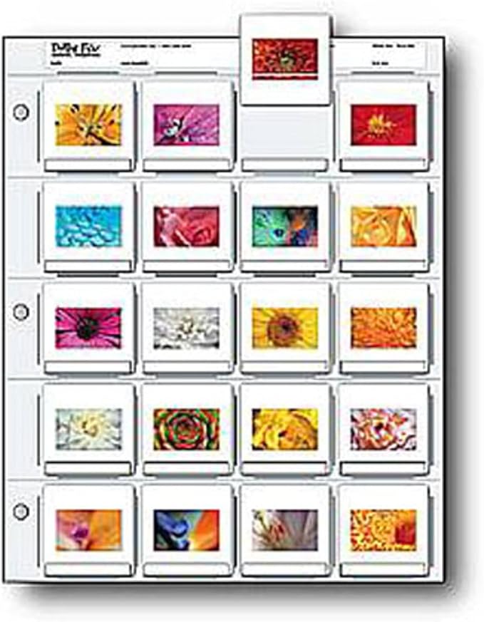 Print File 35mm Slide Pages Holds Twenty 2x2 Mounted Transparencies, Top Loading, Pack of 25
