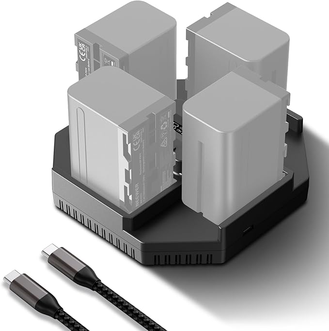 Neewer NP-F970 4 Channel Charger for NP-F550 NP-F750 Camcorder Camera Battery, 100W PD Fast Charging NPF Battery Charger with OLED Display & 100W USB C to USB C Fast Charging Cable, NW-F4