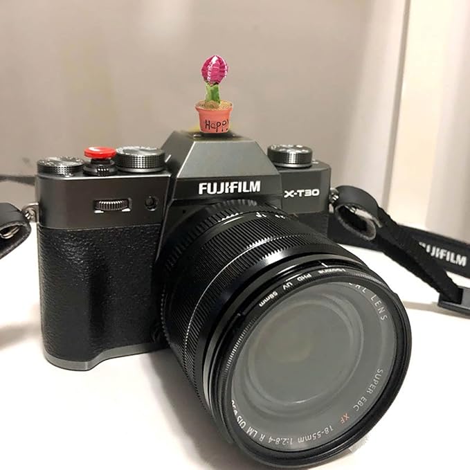 Camera Hot Shoe Cover, Cartoon Plants Cactus Hot Shoe Cap, Hot Shoe Protector Compatible with Sony Fujifilm Fuji Canon Nikon Pentax Leical Panasonic (2pcs Happy Baby)