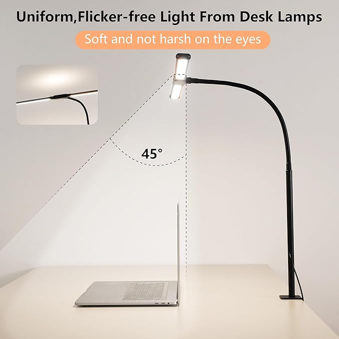 Dual-Head LED Desk Lamp for Office Home, Adjustable Flexible Eye-Caring Desk Light, 5 Modes 10 Brightness Adjustment, USB Adapter Desk Lamp with Clamp-ST-B