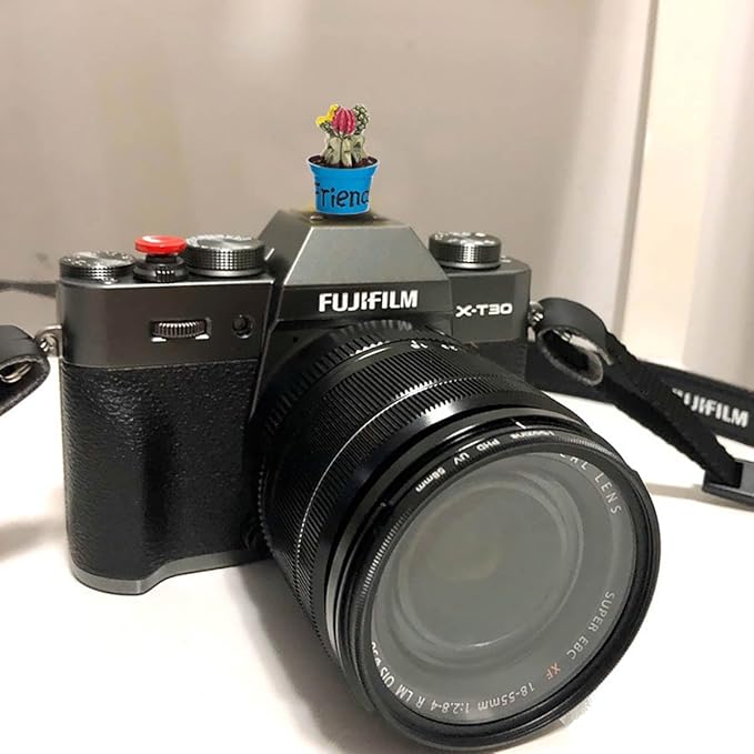 Camera Hot Shoe Cover, Plants Cactus Hot Shoe Cap, Hot Shoe Protector Compatible with Sony Fujifilm Fuji Canon Nikon Pentax Leical Panasonic (2pcs Friend Flower)