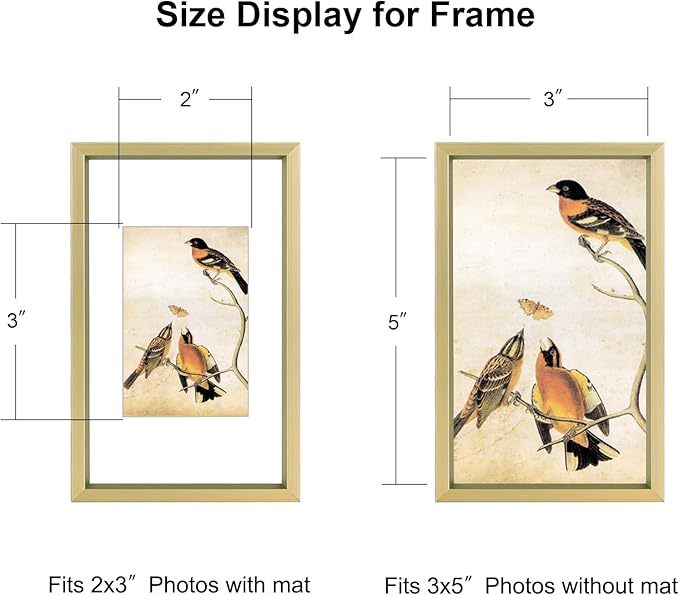 3x5 Picture Frame, Brass Metal Photo Frames with HD Glass, Fits 2x3 with Mat or 3 x 5 without Mat, Display for Wall and Table, 1 Pack