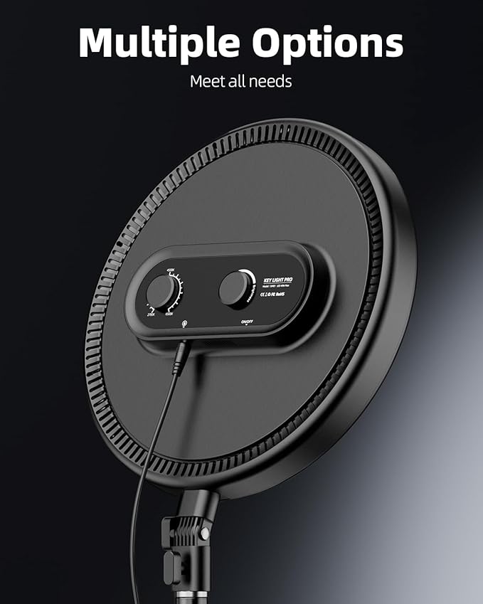 Weilisi Large Ring Light with 79" Stand, 6500K Professional Full-Screen Big Ring Light with Stand and Phone Holder, Selfie Light with Remote for Studio Video Photography, TikTok, YouTube, Live Stream