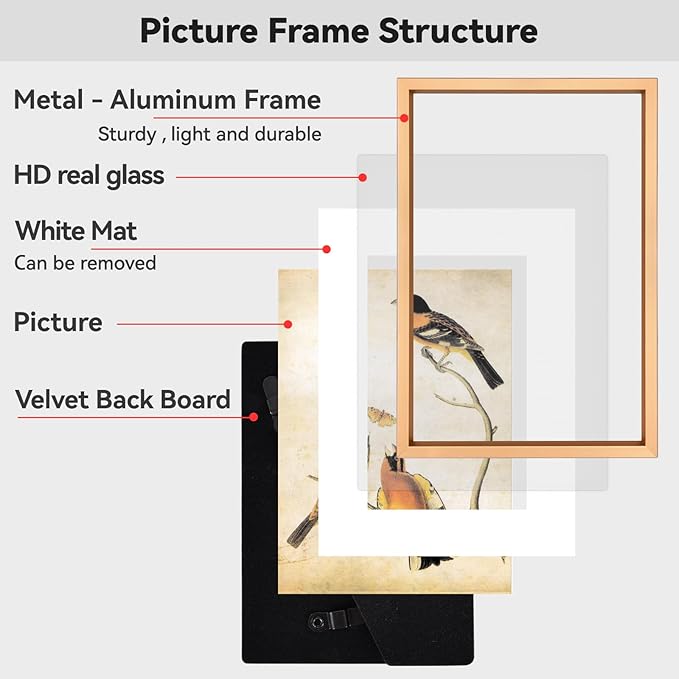 BKABOT 10x12 Picture Frame, Gold Aluminum Metal Photo Frames with HD Glass, Fits 8x10 with Mat or 10 x 12 without Mat, Display for Wall, 1 Pack
