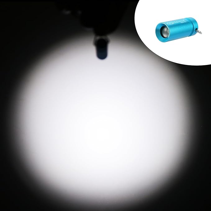 LIGHTFE MINI01 Keychain Flashlight mini Keychain Light is Light, Small, and Bright (Mini01-Blue)