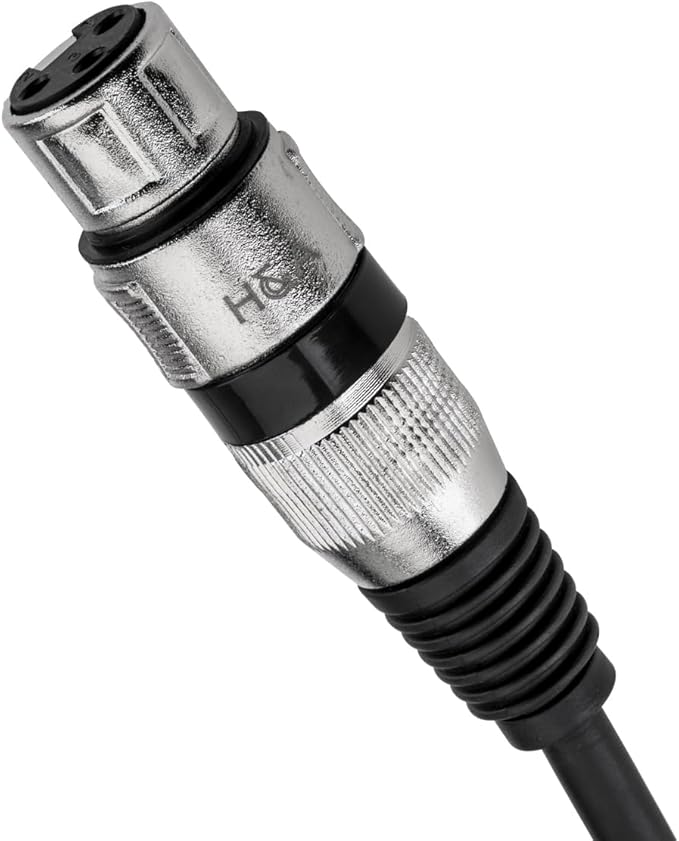 Scarlett Solo 4th Gen USB Audio Interface with XLR 10 Foot Mic Cable