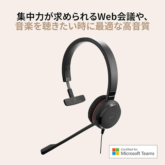 Jabra Evolve 20 SE Mono Headset - Microsoft Certified Headphones for VoIP Softphone with Passive Noise Cancelling - USB-C/A - Black