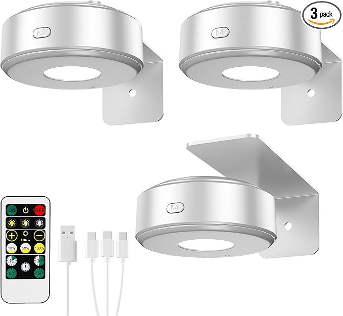 3PCS Picture Lights,3 Colors Paintings Light Rechargeable Battery Wall Light Dimmable and Timer Metal Art Light for Paintings,Display, Wall, Artwork, Gallery (Silver)