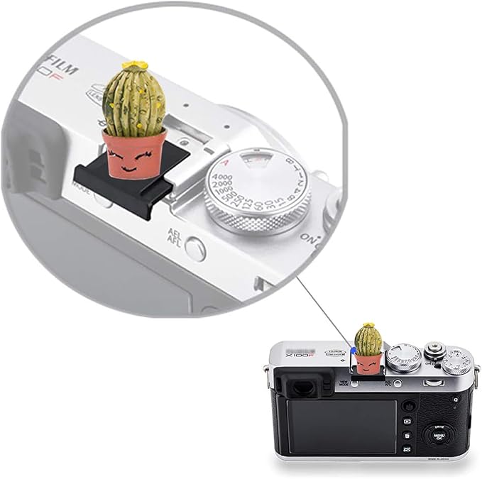 Camera Hot Shoe Cover, Cartoon Plants Cactus Hot Shoe Cap, Hot Shoe Protector Compatible with Sony Fujifilm Fuji Canon Nikon Pentax Leical Panasonic (2pcs Love)