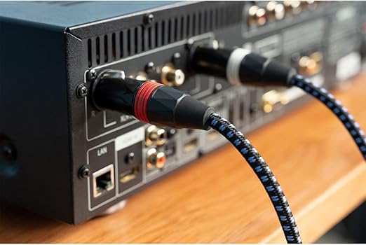SVS SoundPath Balanced XLR Audio Cable - 9.84 ft. (3m)