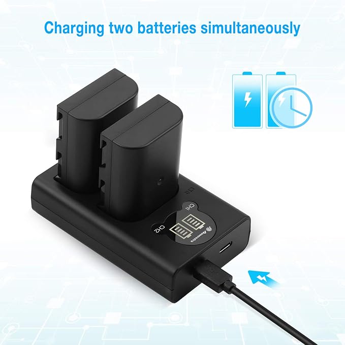 2 Pack DMW-BLF19, DMW-BLF19E, DMW-BLF19PP Replacement Batteries and Dual USB Charger for Panasonic Lumix DC-G9, DC-GH5, DMC-GH3, DMC-GH3K, DMC-GH4, DMC-GH4K Digital Camera