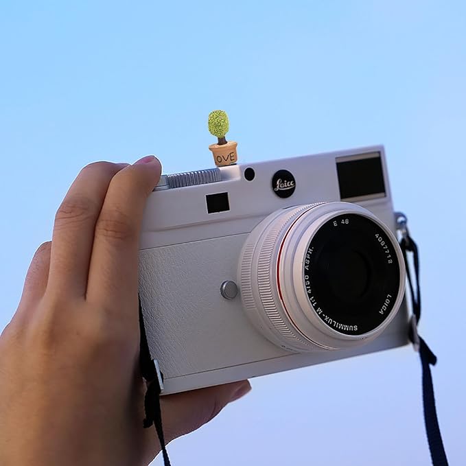 Camera Hot Shoe Cover, Cartoon Plants Cactus Hot Shoe Cap, Hot Shoe Protector Compatible with Sony Fujifilm Fuji Canon Nikon Pentax Leical Panasonic (2pcs Love)