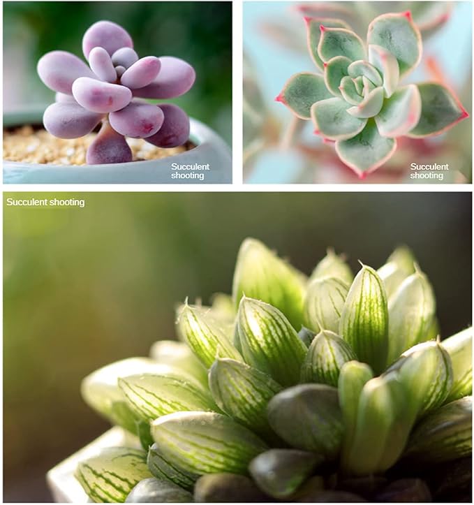 4K UHD 10X Macro Lens for iPhone & Android, Universal Clip-On Phone Camera Lens — No Distortion, No Vignetting, 3–12cm Focus Distance, Ideal for Flowers, Jewelry & Close-Up Photography