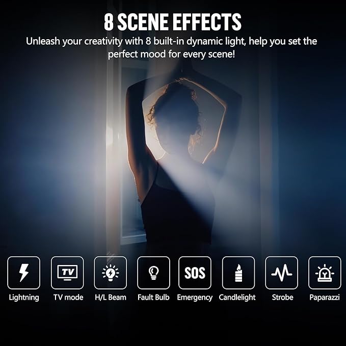 LENSGO 40H Retro Camera Flash Light with Diffuser, Rechargeable 40W Bi-Color 2700K-7000K CRI96 Video Light, Dimmable 0-100%, 8 Lighting Effects, Compatible with DSLR/GoPro/Sony/Canon/iPhone