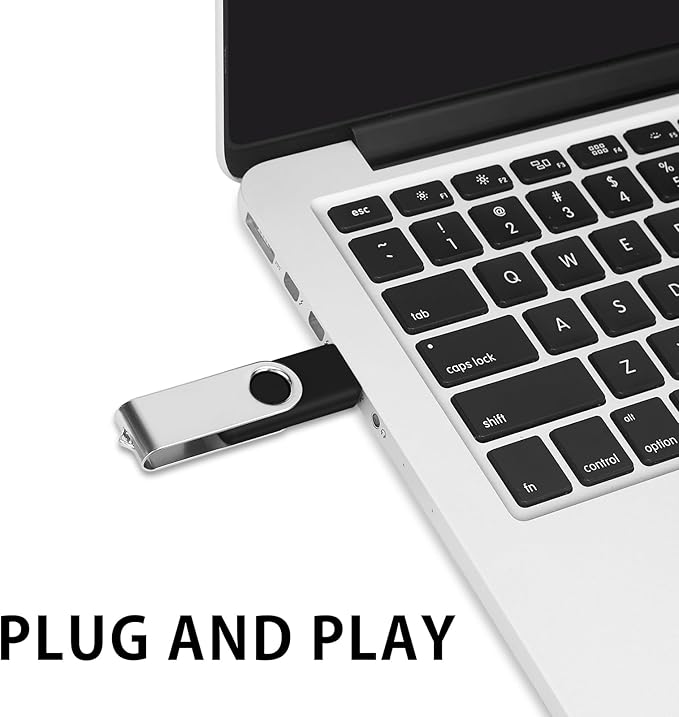 EASTBULL 50PCS 2GB Bulk Flash Drives USB 2.0 2GB Flash Drives Pack Thumb Drives Bulk Swivel Bulk USB Drives, Black