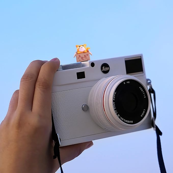 Camera Hot Shoe Cover, Cartoon Hot Shoe Cap, Hot Shoe Protector Compatible with Sony Fujifilm Fuji Canon Nikon Pentax Leical Panasonic (2pcs Cat)