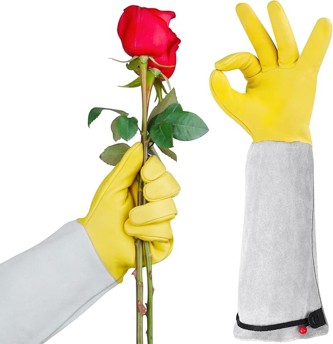 Supersfel Rose Pruning Gloves for Men/Women, Long Gardening Gloves Thorn Proof, Cactus Glove, Goatskin Leather Planting Gauntlet Garden Working Glove, Gardening Gifts for Gardeners (Small)