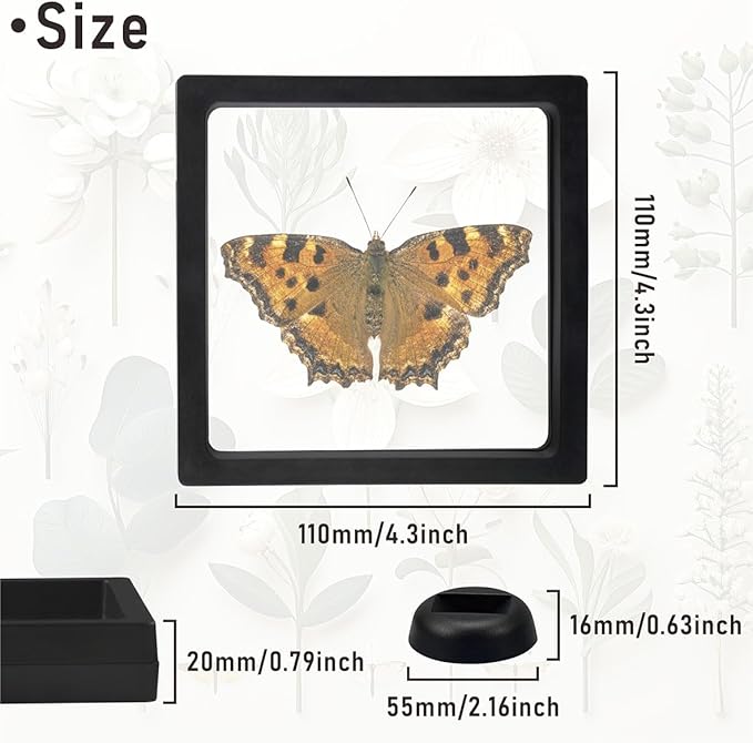 Black 3D Floating Frame , 4.3 x 4.3 x 0.8 inch Coin Display Case with Base , 3D Floating Jewelry Frame Display Holder Stands for Challenge Coins AA Medallions Specimen Jewelry (20 Pack)