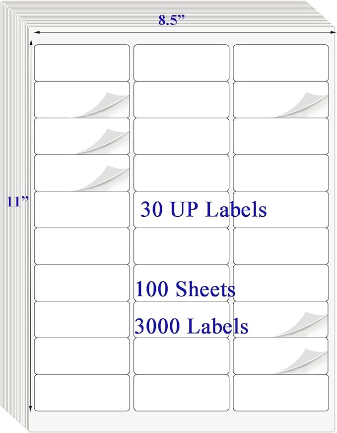 100 Sheets 30 UP 1" x2-5/8 Shipping Labels 3000 Pcs FBA Label Stickers for Laser/Inkjet Printers, White Blank Sticker Name Tags, 30 Per Page
