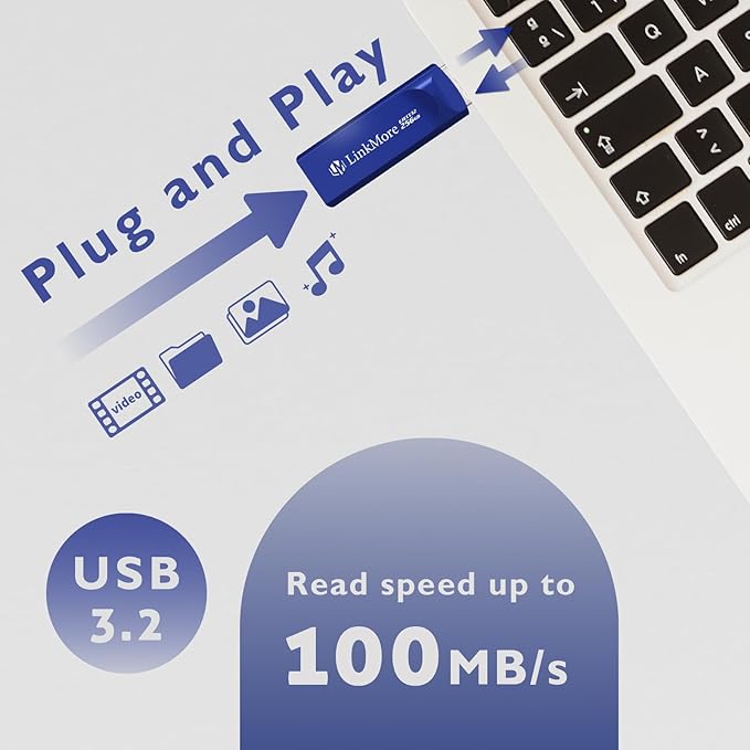 LinkMore EJECT32 256GB USB 3.2 Flash Drive, Read Speed up to 100MB/s, Retractable Design Thumb Drive