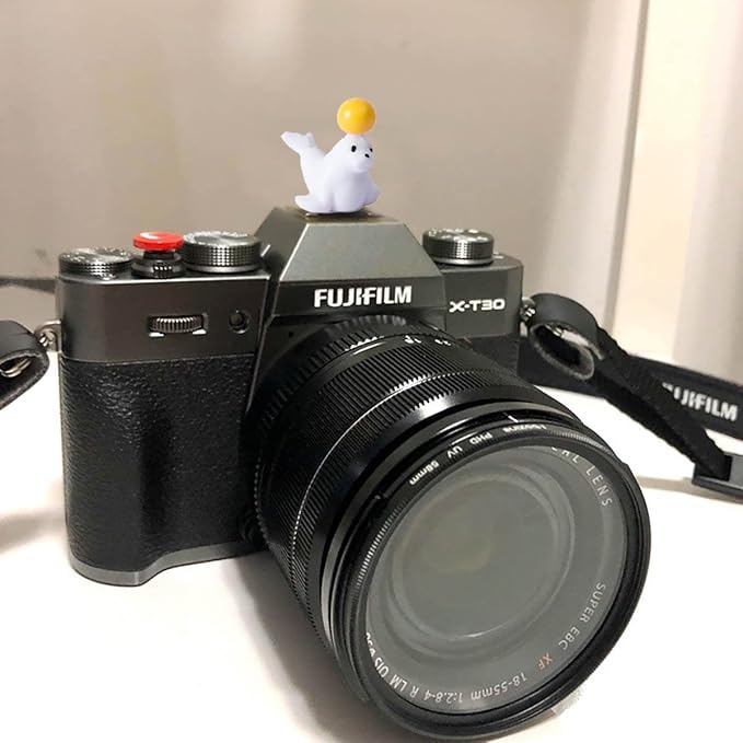 Camera Hot Shoe Cover, Cartoon Hot Shoe Cap, Hot Shoe Protector Compatible with Sony Fujifilm Fuji Canon Nikon Pentax Leical Panasonic (2pcs Seal Dolphin)