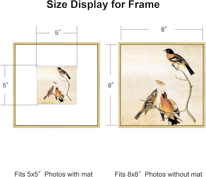 8x8 Picture Frame, Brass Metal Square Photo Frames with HD Glass, Fits 5x5 with Mat or 8 x 8 without Mat, Display for Wall and Table, 1 Pack