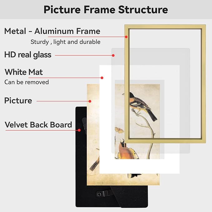 BKABOT 10x12 Picture Frame, Brass Aluminum Metal Photo Frames with HD Glass, Fits 8x10 with Mat or 10 x 12 without Mat, Display for Wall, 1 Pack