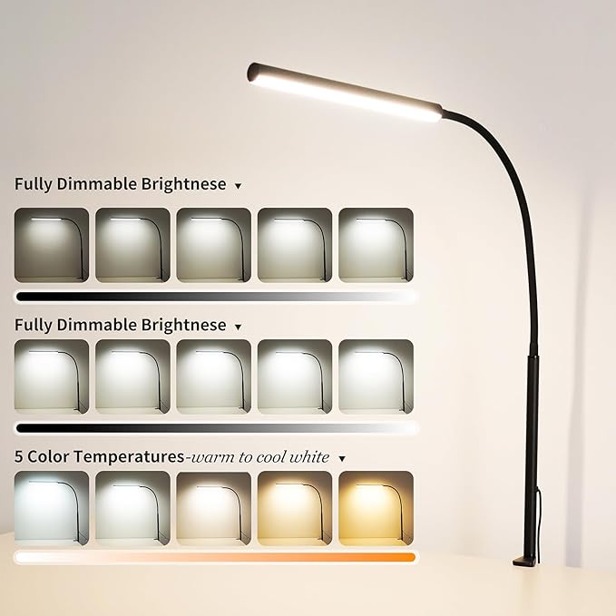 LED Desk Lamp for Office Home, Adjustable Flexible Eye-Caring Desk Light with,5 Modes 10 Brightness Adjustment, USB Adapter Desk Lamp with Clamp-LK-B
