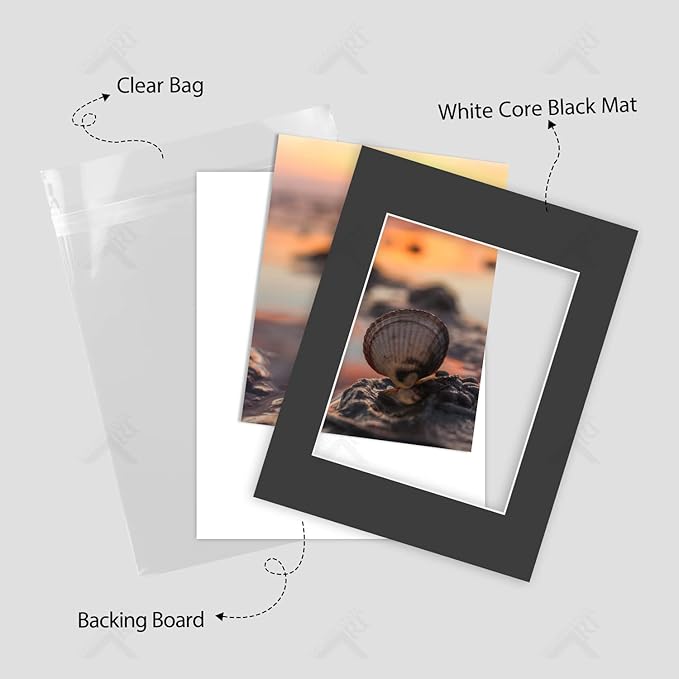 Golden State Art, Acid Free, Pack of 50, 11x14 Black Picture Mats Mattes with White Core Bevel Cut for 8x10 Photo + Backing + Bags