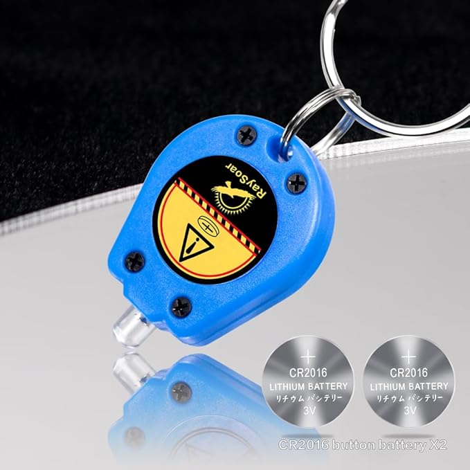 10 Pack Ultra Bright Mini LED Keychain Flashlight, Small Key Ring Flashlight, Portable LED Keychain Light for Outdoor Activities Emergency Light - Blue Shell