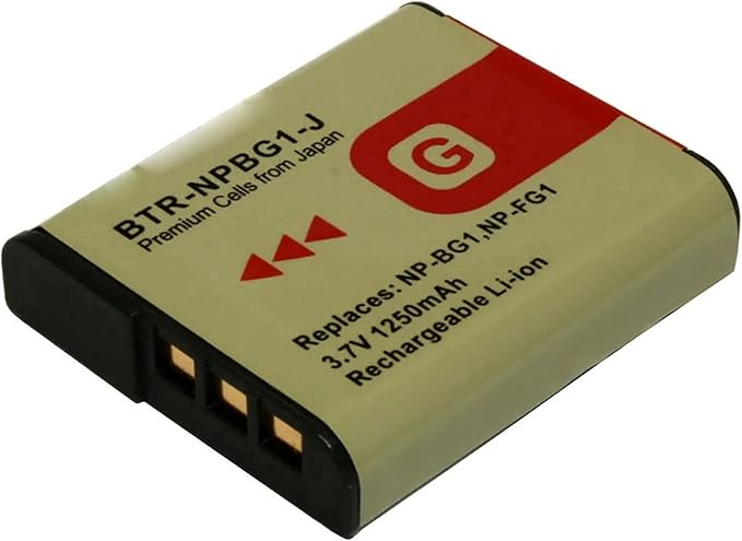 Replacement Battery for Sony Cyber-Shot DSC-W120 (2-Pack, 1250mAh) and Charger