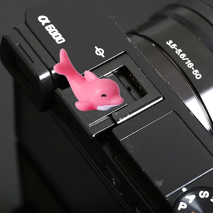 Camera Hot Shoe Cover, Cartoon Hot Shoe Cap, Hot Shoe Protector Compatible with Sony Fujifilm Fuji Canon Nikon Pentax Leical Panasonic (2pcs Seal Dolphin)