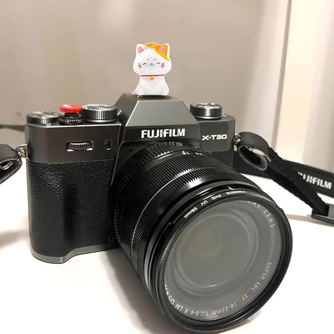 Camera Hot Shoe Cover, Cute Hot Shoe Cap, Hot Shoe Protector Compatible with Sony Fujifilm Fuji Canon Nikon Pentax Leical Panasonic (Lucky Cat)