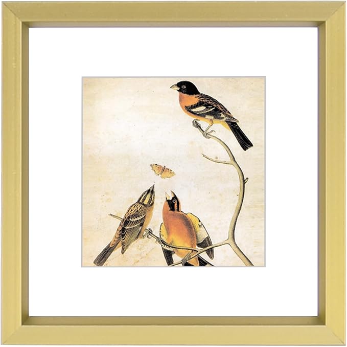 3x3 Picture Frame, Brass Metal Square Photo Frames with HD Glass, Fits 2x2 with Mat or 3 x 3 without Mat, Display for Wall and Table, 1 Pack
