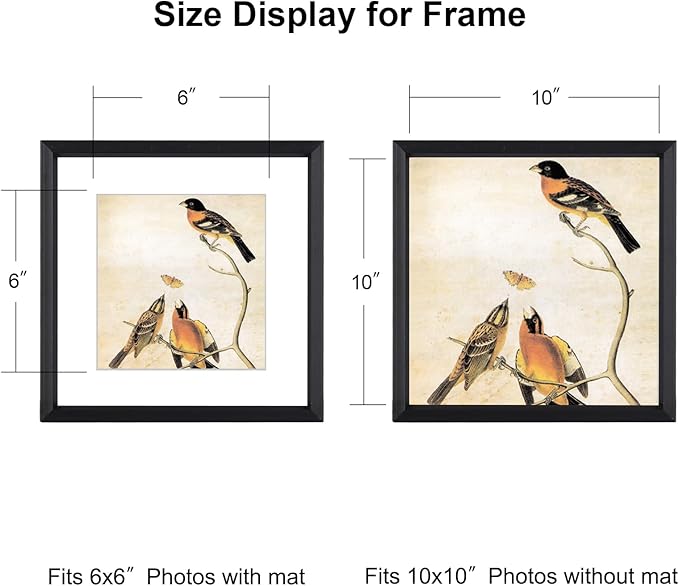 BKABOT 10x10 Picture Frame, Black Metal Square Photo Frames with HD Glass, Fits 6x6 with Mat or 10 x 10 without Mat, Display for Wall and Table, 1 Pack