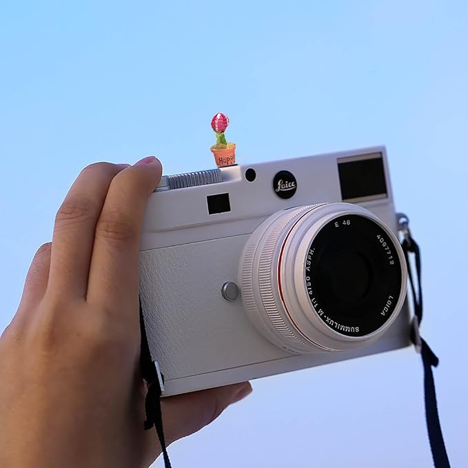 Camera Hot Shoe Cover, Cartoon Plants Cactus Hot Shoe Cap, Hot Shoe Protector Compatible with Sony Fujifilm Fuji Canon Nikon Pentax Leical Panasonic (2pcs Happy Baby)