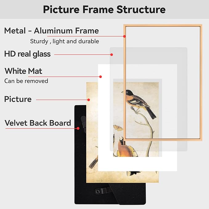 BKABOT 10x14 Picture Frame, Gold Aluminum Metal Photo Frames with HD Glass, Fits 8x10 with Mat or 10 x 14 without Mat, Display for Wall
