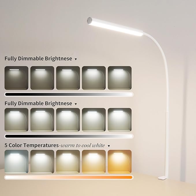 LED Desk Lamp for Office Home, Adjustable Flexible Eye-Caring Desk Light with,5 Modes 10 Brightness Adjustment, USB Adapter Desk Lamp with Clamp-LK-W