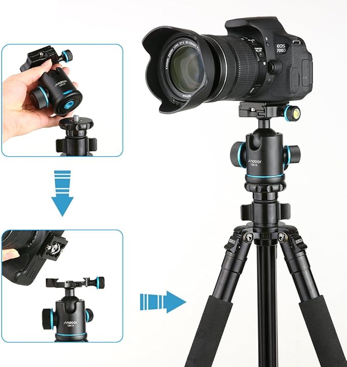 Andoer Tb81X Tripod Ball Head 360 Degree Rotating Panoramic Camera Quick Release Ball Head for Tripod Monopod Slider DSLR Camera with 3Pcs 1/4" to 3/8" Srew Adapters Max. Load 8Kg/17.64Lbs